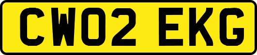CW02EKG