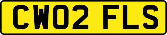 CW02FLS