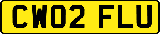 CW02FLU