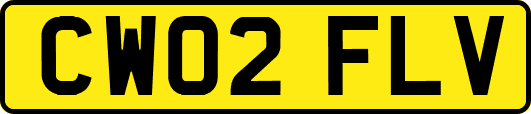 CW02FLV