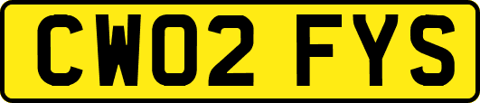 CW02FYS