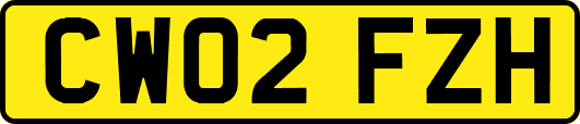 CW02FZH