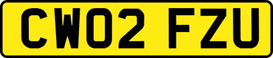 CW02FZU