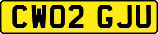 CW02GJU