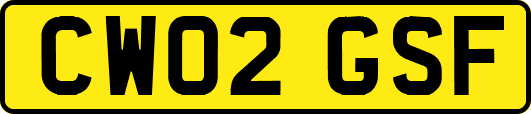 CW02GSF