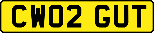 CW02GUT