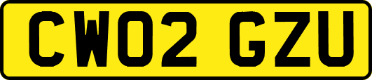 CW02GZU