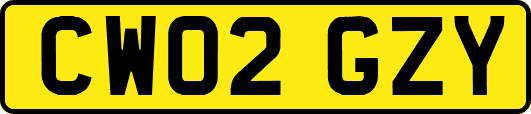 CW02GZY