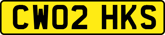 CW02HKS