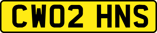 CW02HNS