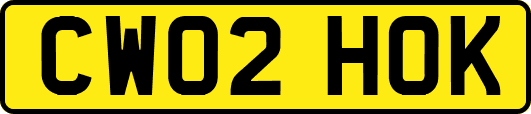 CW02HOK