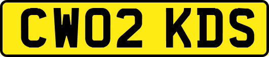 CW02KDS