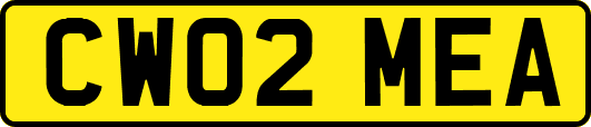 CW02MEA
