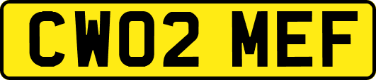 CW02MEF