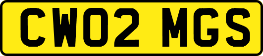 CW02MGS