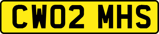CW02MHS