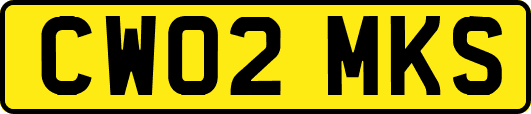 CW02MKS
