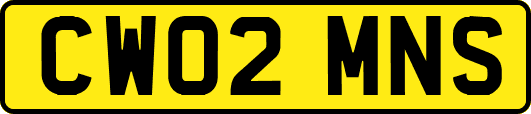 CW02MNS