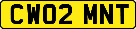 CW02MNT