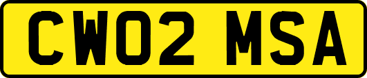 CW02MSA