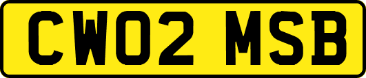CW02MSB
