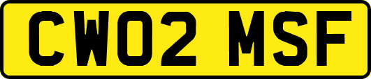 CW02MSF