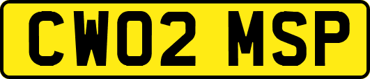 CW02MSP