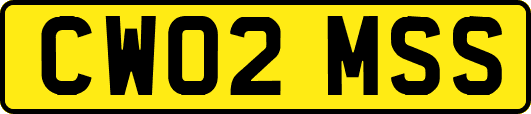 CW02MSS