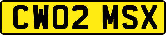 CW02MSX