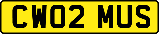 CW02MUS
