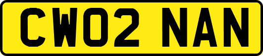 CW02NAN