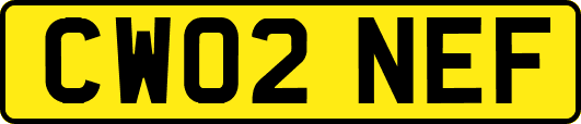 CW02NEF