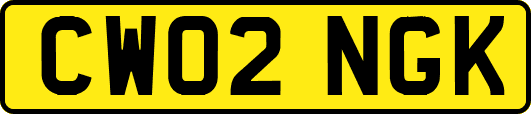 CW02NGK