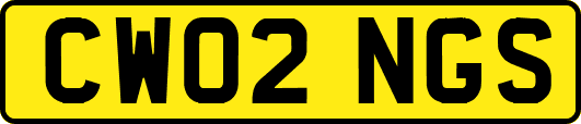 CW02NGS