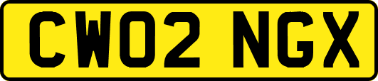 CW02NGX