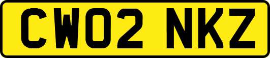 CW02NKZ