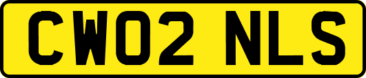 CW02NLS