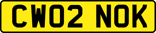 CW02NOK