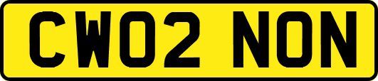 CW02NON