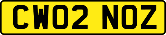 CW02NOZ