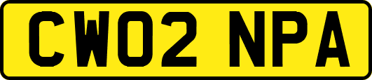 CW02NPA
