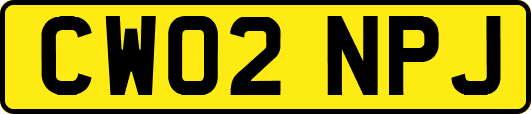 CW02NPJ