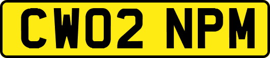 CW02NPM