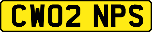 CW02NPS