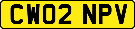 CW02NPV