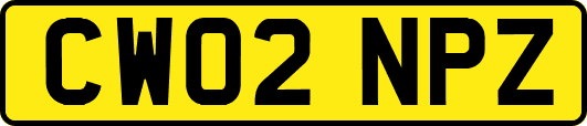 CW02NPZ