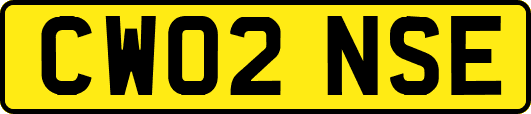 CW02NSE
