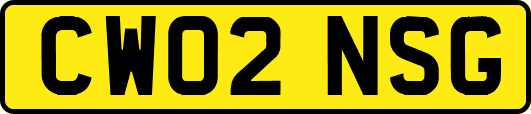 CW02NSG