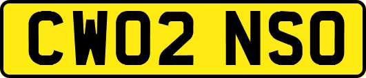 CW02NSO