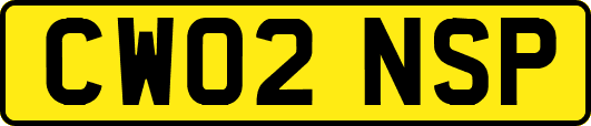 CW02NSP